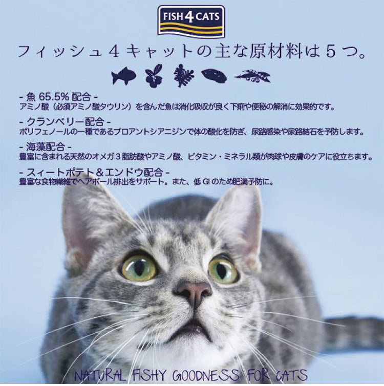F4 フィッシュフォー キャット 1.5kg サーモン