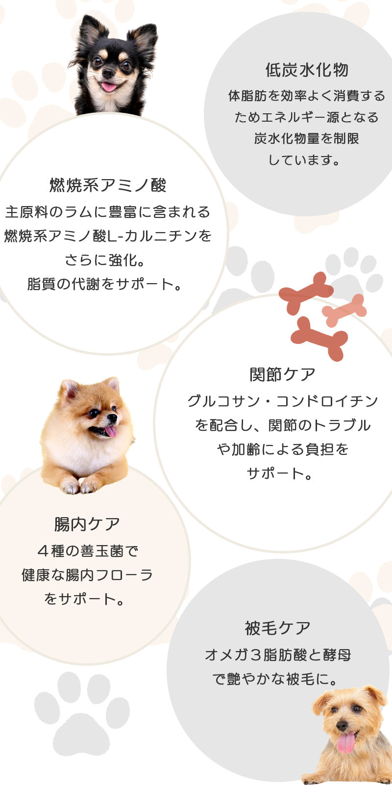 ナチュラルハーベスト レジームスモール チキン(旧レジームスモール) 5.5kg