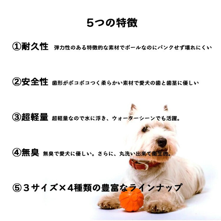 LIKER9 ライカ9【Lサイズ/直径9cm】全犬種対応