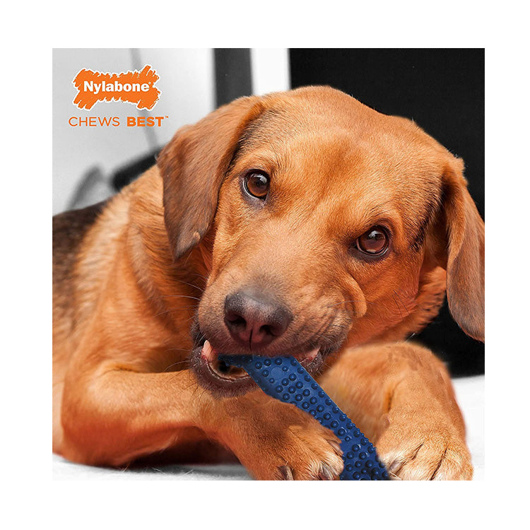Nylabone ナイラボーン デンタルチュウ ウルフ L