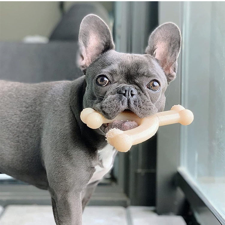 Nylabone ナイラボーン ウィッシュボーン Y字 ウルフ