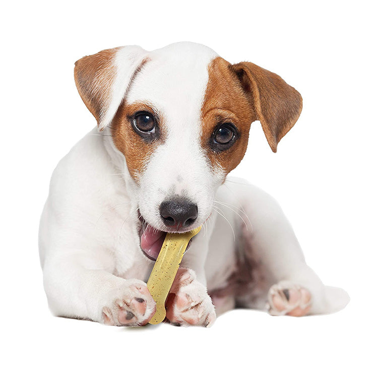 Nylabone ナイラボーン フレキシチュウ レギュラー M