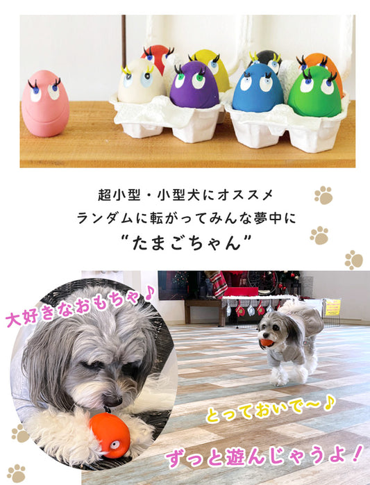 サンジョルディたまごちゃん Sサイズ