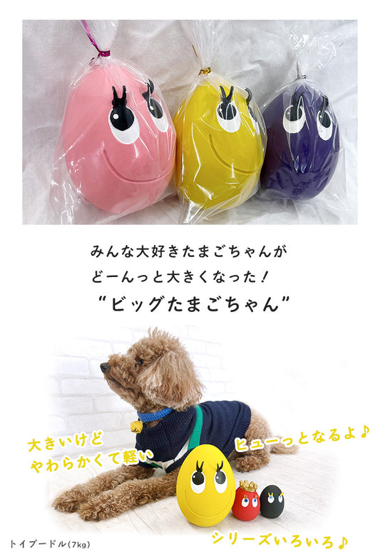 サンジョルディ ビッグたまごちゃん