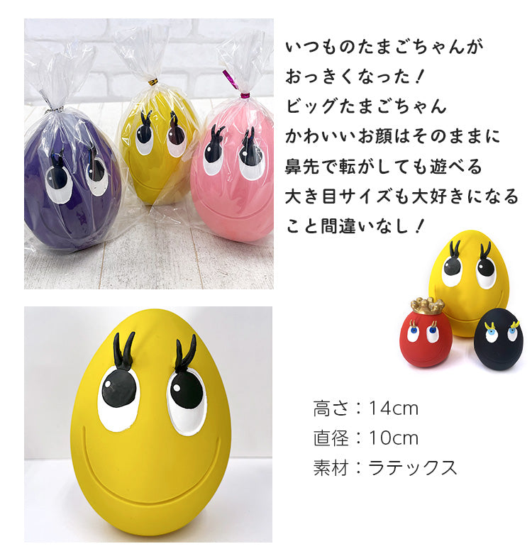 サンジョルディ ビッグたまごちゃん