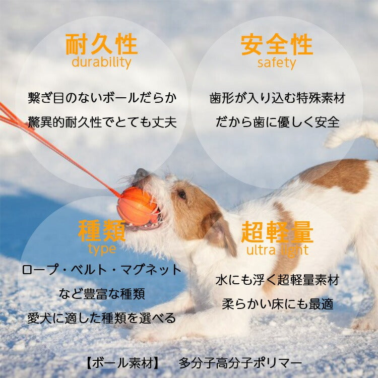 LIKER5 LINE ライカ5ライン【Sサイズ】極小犬~小型犬用