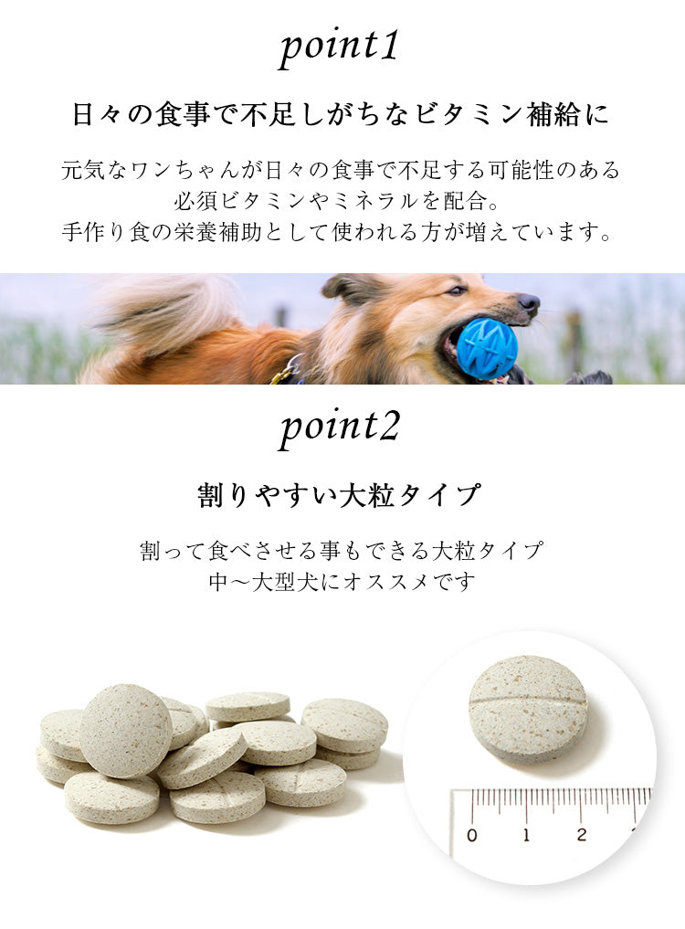ネイチャーベット マルチビタミン バイタペット アダルトタブス 365粒