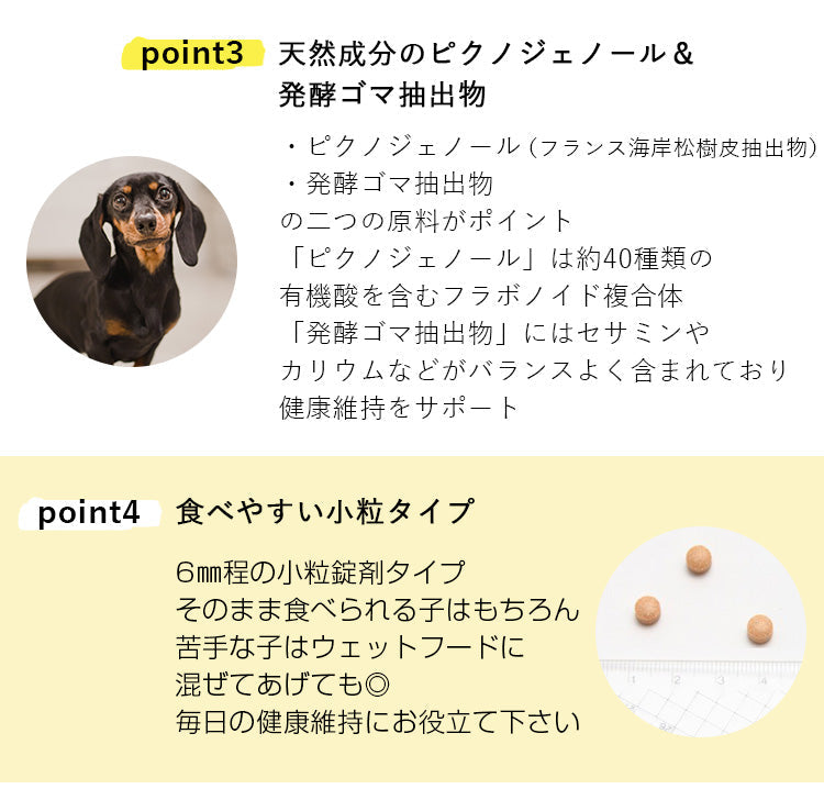 パンフェノン 120粒 【3個セット】 ペットサプリメント【アレルギー・心臓・免疫関係】