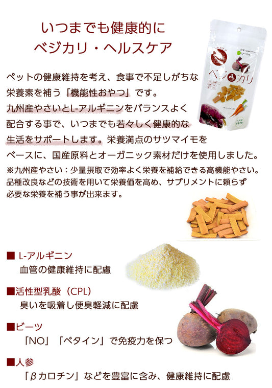 ベジカリ ヘルスケア 犬 猫 おやつ サプリメントおやつ