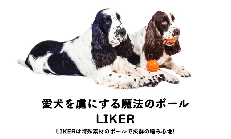 LIKER ライカ【Mサイズ/直径7cm】小型～中型犬用