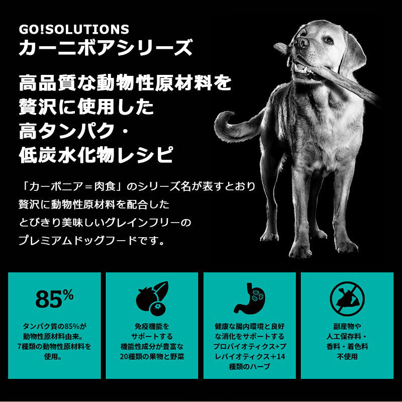 go!SOLUTIONS ゴーソリューションズ カーニボア シニア 【800g】