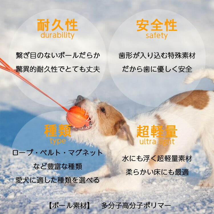 LIKER5 LINE ライカ5ライン【Sサイズ】極小犬～小型犬用